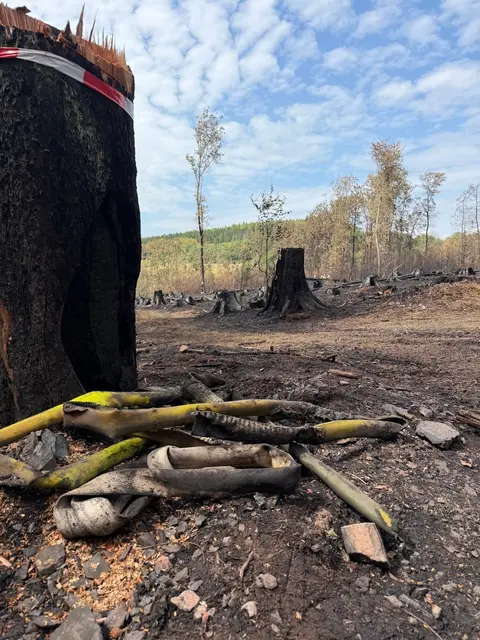 Der Waldbrand im Hosterwald bei Illingen hat rund 18 Hektar Fläche erfasst und mehr als 1.000 Einsatzkräfte gebunden. Nach 78 Stunden wurde der Großeinsatz der Feuerwehr beendet. | Foto: Kreisfeuerwehrverband Neunkirchen