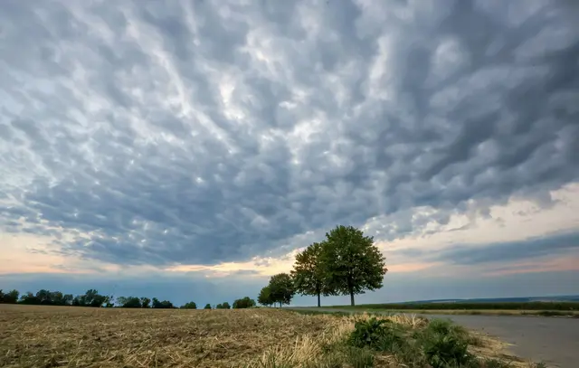 Nach langer Trockenheit kann ein bisschen Regen nicht viel bewirken. (Archivbild)  | Foto: Thomas Warnack/dpa