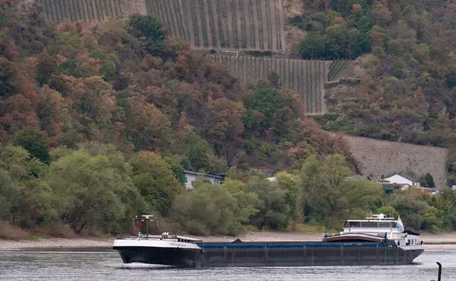 Dank Regens in Süddeutschland steigen die Rheinpegel wieder langsam, sind aber von Durchschnittswerten weit entfernt. | Foto: Lea Winkler/dpa