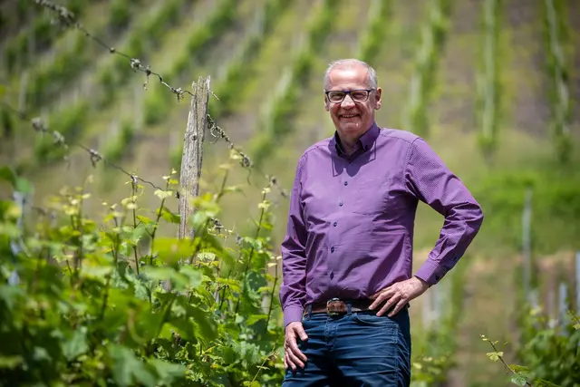 Günther Jauch ist dem Weinbau schon seit seiner Kindheit verbunden. (Archiv)  | Foto: Harald Tittel/dpa