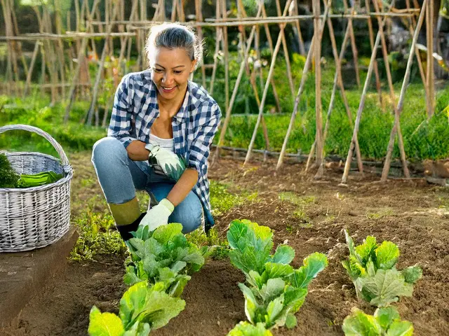 Gartenarbeit entspannt und macht doppelt so viel Spaß, wenn man den Ertrag am Ende genießen kann | Foto: Heike Schwitalla - erstellt mit KI