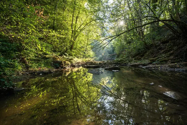Es wird ein Mix aus Wolken und Sonne erwartet. (Illustration) | Foto: Silas Stein/dpa