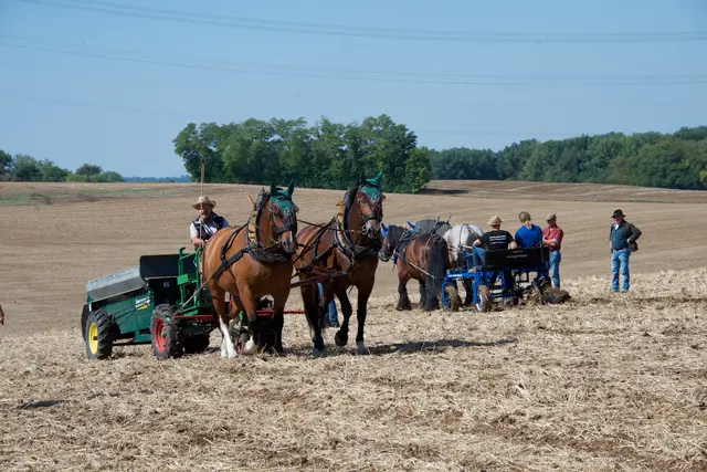 Verschiedene Ackergeräte am Vorderwagen, Miststreuer und Grupper. | Foto: Ellen Wachter