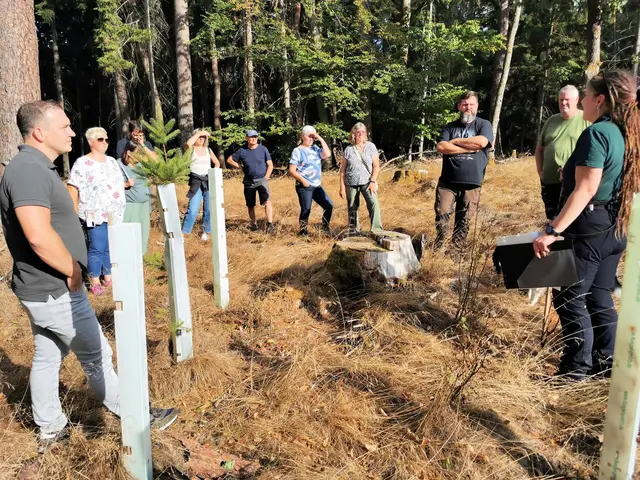 Im Marschberg setzt Hütschenhausen auf Aufforstung, sichere Straßenränder und mehr Wasserrückhalt im Wald. | Foto: Ortsgemeinde Hütschenhausen