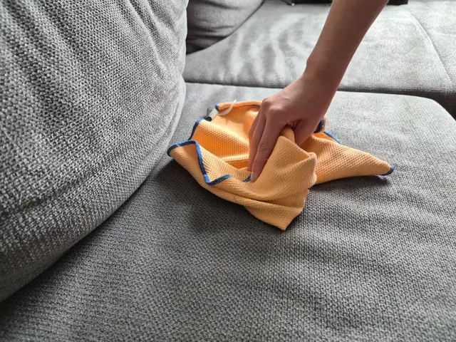 Das Sofa kann man ganz leicht mit den passenden Mitteln reinigen. | Foto: Sarah Isele