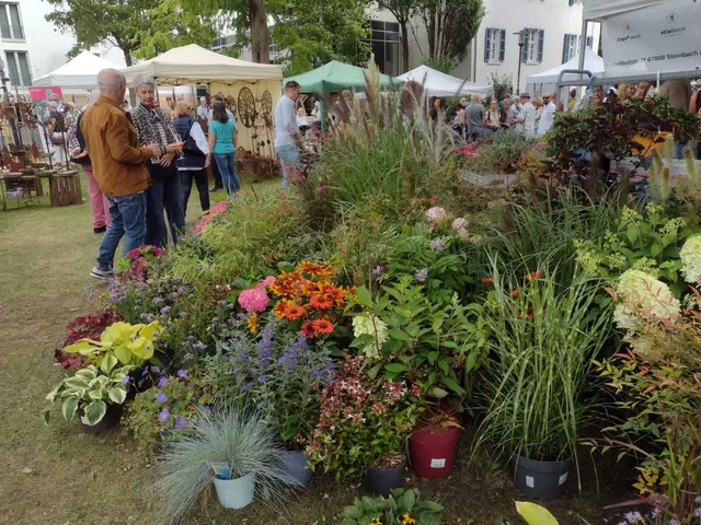 Die Gäste können in die Zauberwelt der Gartenkultur eintauchen und dabei vielfältige Inspirationen für den heimischen Garten sammeln | Foto: Team 4 Rockenhausen