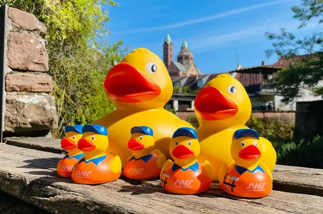 Beim Altstadtfest in Speyer schwimmen die Rennenten wieder durch den Woogbach. | Foto: Stadtwerke Speyer GmbH