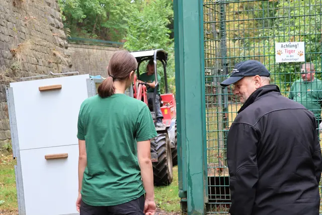 Hier kommt Manu: Der Transport des Tigerkaters nach Landau verlief ohne Probleme | Foto: Zoo Landau in der Pfalz