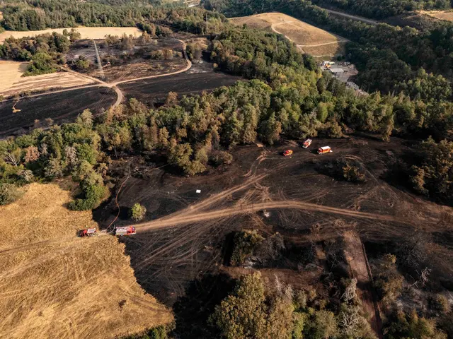 Rund 21 Hektar Wald- und Wiesenfläche wurden bei dem Brand vernichtet. (Archivbild) | Foto: Christian Schulz/Foto Hosser/dpa