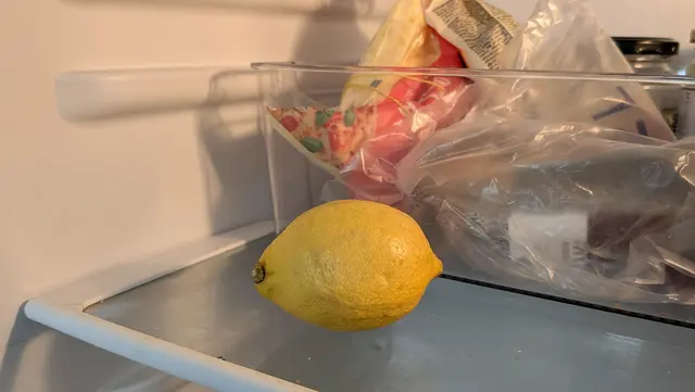 Wer Zitronen im Kühlschrank lagert sollte diese schnell wieder da rausholen! | Foto: Heike Schwitalla