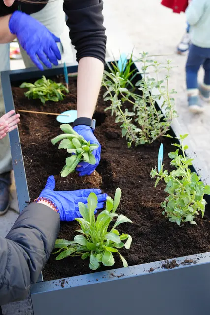 Urban Gardening Projekte, auch in Mainz beweisen, dass moderner Städtebau mit den Aspekten der Nachhaltigkeit vereinbar ist. | Foto: Wohnbau Mainz