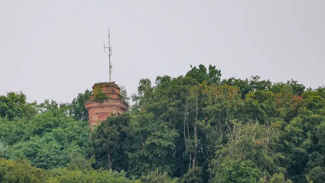 Von Landstuhl aus wirkt der Bismarckturm auf dem Kirchberg beinahe unscheinbar. Nur seine Spitze ragt über die Baumwipfel hinaus. | Foto: Erik Stegner