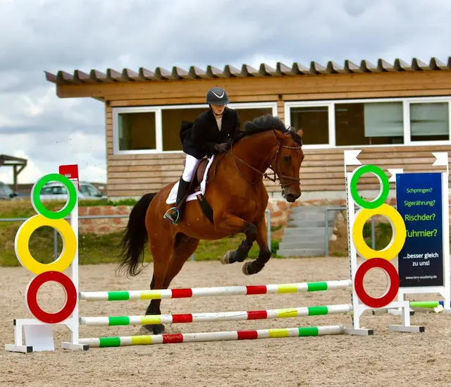 Kira Kafitz belegte mit Quintano im Springreiterwettbewerb den zweiten Platz: "Im Parcours wurde mir bewusst, wie viele Fortschritte wir schon gemeinsam gemacht haben.“  | Foto: Marc Scheubeck