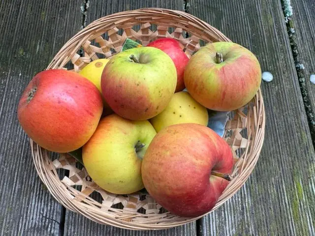 Einige Tafeläpfel | Foto: Dr. Markus Setzepfand, Sippersfeld 