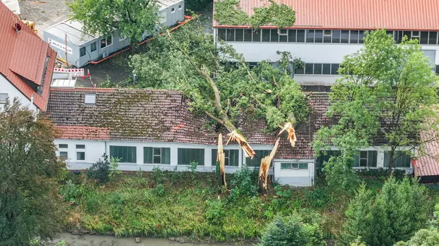 Durch die starken Gewitter stürzten auch Bäume um. | Foto: Jason Tschepljakow/dpa