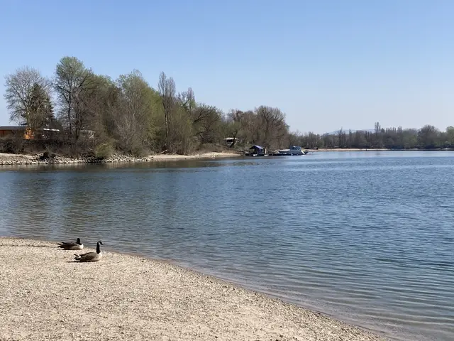 An heißen Tagen suchen viele am Weiher Abkühlung, doch aktuell rät die Stadt dort vom Baden ab. | Foto: Petra Weber