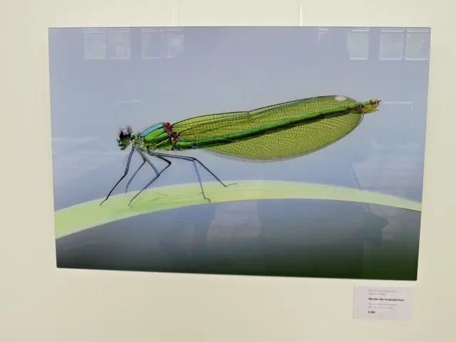 Foto: Brigitte Melder