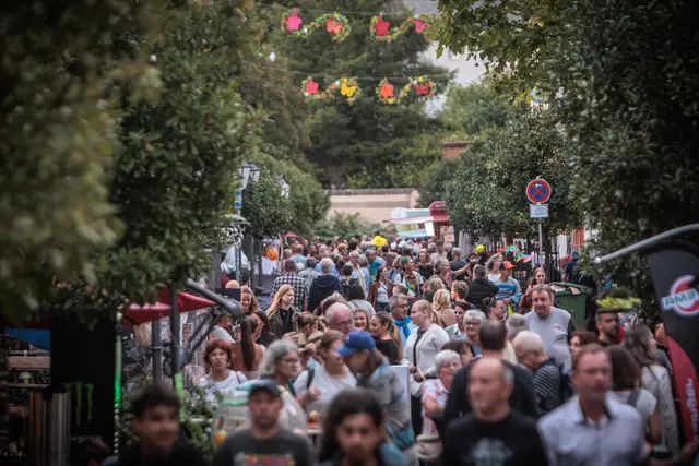 750 Jahre Stadtrechte: Auf den Straßen und Plätzen Germersheims herrschte bereits am Nachmittag eine lebendige Atmosphäre. Die Besucher wechselten zwischen den Bühnen und genossen das vielfältige Programm. | Foto: Paul Needham