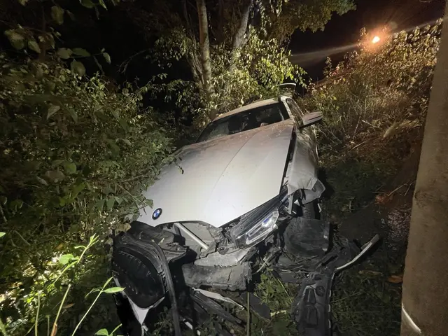 Cannabiseinfluss und zu hohes Tempo: Auto kommt bei Neustadt von der Straße ab | Foto: Polizeiinspektion Neustadt/Weinstraße