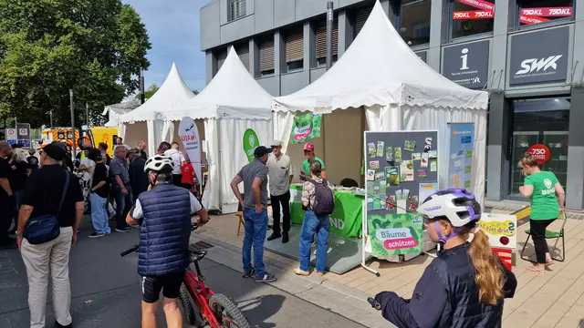 Foto: Ralf Vester