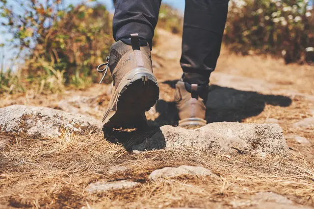 In der Pfalz gibt es viel Wege zum Wandern / Symbolbild | Foto: Farknot Architect/stock.adobe.com