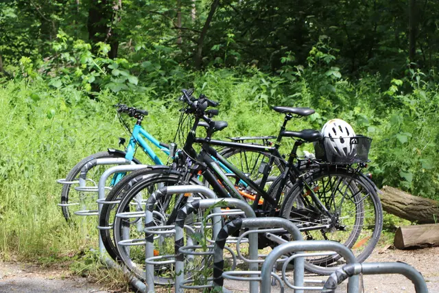 Der Pfälzerwald-Verein Schifferstadt lädt zu einer geführten Radtour für Senioren. | Foto: Heike Schwitalla