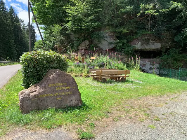 Picknickplatz an der Speyerbachquelle in Speyerbrunn | Foto: Heike Zinsmeister