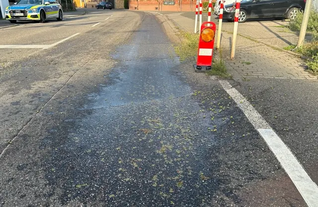 Eine verlorene Traubenladung sorgte in Edesheim für Rutschgefahr auf der Eisenbahnstraße. Die Polizei sucht den unbekannten Winzer und warnt vor glatten Straßen durch Traubensaft während der Weinlese. | Foto: Polizeidirektion Landau