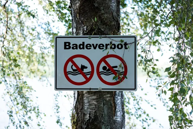 Die Stadt Offenburg hatte wegen einer festgestellten Algenblüte ein Badeverbot am Gifiz-See ausgesprochen. (Illustration) | Foto: Laszlo Pinter/dpa