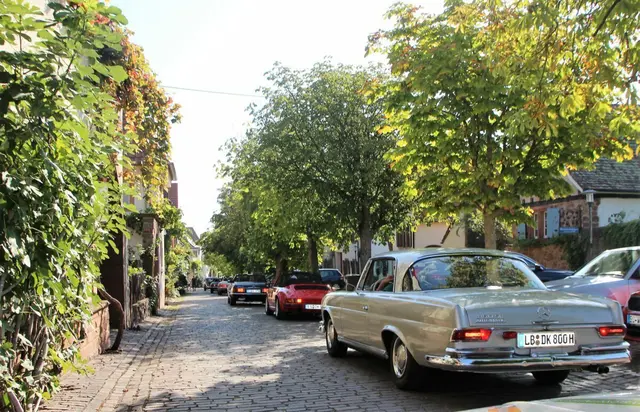 Die Heidlauf Classics führen am zweiten Septemberwochenende erneut durch die Südpfalz und das benachbarte Elsass | Foto: Karsten Heidlauf/Heidlauf Classics