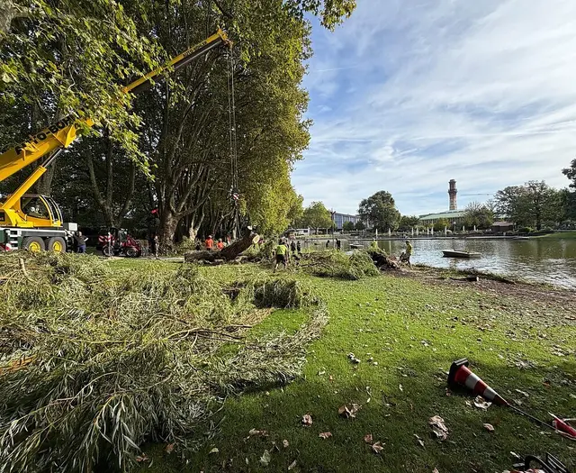 Die Gondoletta im Stadtgarten fährt wieder, nachdem eine umgestürzte Weide am See entfernt wurde. | Foto: Stadt Karlsruhe, Gartenbauamt