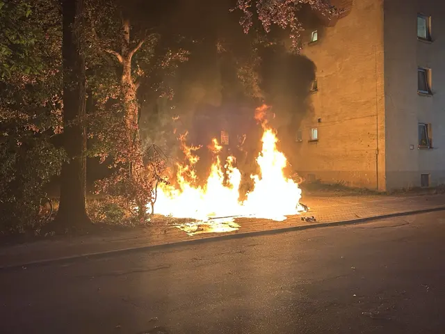 Im Asternweg in Kaiserslautern haben Unbekannte zwei Abfallcontainer angezündet. Die Polizei ermittelt wegen möglicher Brandstiftung und sucht Zeugen. | Foto: Polizeidirektion Kaiserslautern
