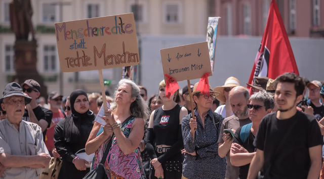 Symbolfoto von einer Demo gegen die AfD (2025 in Karlsruhe) | Foto: Paul Needham