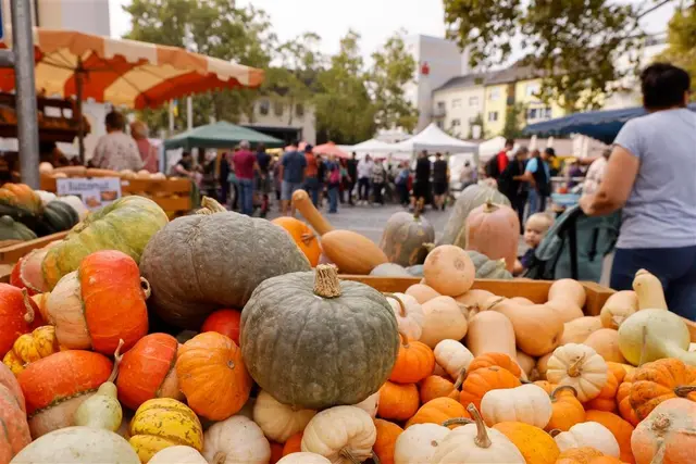 Viele Menschen bummeln über den Markt und entdecken regionale Produkte und Handgemachtes. | Foto: Sebastian Weindel, © Sebastian Weindel