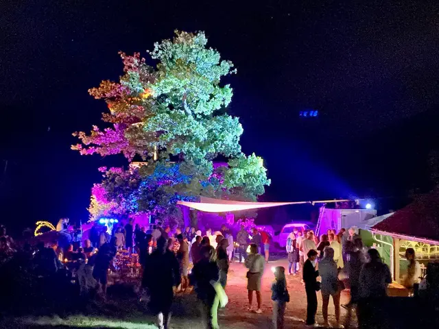 Auf der Wolfsburg in Neustadt feiern zwei bekannte Formate im September erstmals gemeinsam als „Wolf of Winestreet“ Premiere. | Foto: Die Waldschatten e.V.