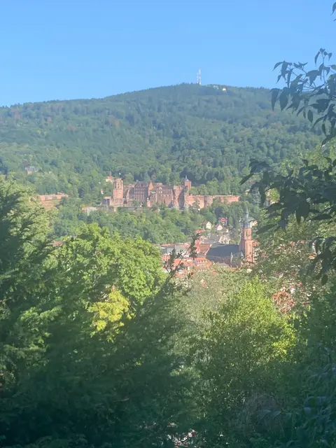 Blick auf Schloss und Stadt | Foto: Ich
