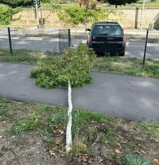 In Kusel endete eine Alkoholfahrt mit mehr als 3 Promille in der Glanstraße an einem Baum und einem Zaun. Die Polizei ermittelt wegen Straßenverkehrsgefährdung und Fahrens ohne Fahrerlaubnis. | Foto: Polizeiinspektion Kusel und Polizeiwache Schönenberg-Kübelberg