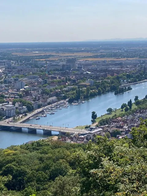Blick auf den Neckar | Foto: Ich