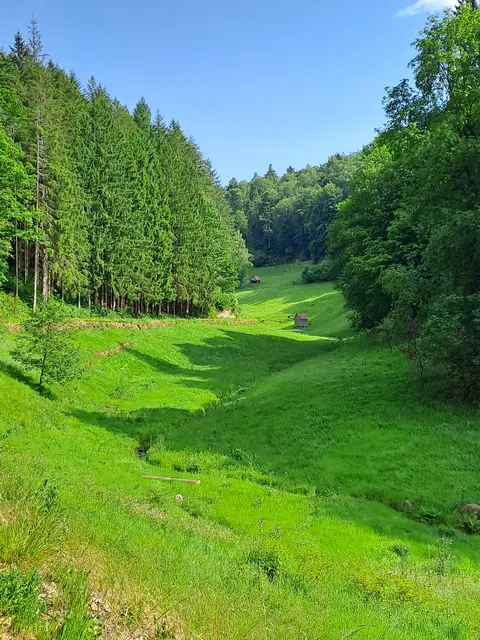 Weisenbacher Steig - An den charakteristischen Heuhütten vorbei kommen Wanderer bei der Route „rechts der Murg“  | Foto: Holger Staib/frei
