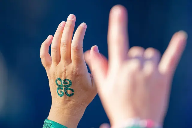 Das "Glücksgefühle-Festival" ist nach Angaben der Veranstalter mit 250.000 erwarteten Besucherinnen und Besuchern das größte Musikfestival Deutschlands. (Symbolbild) | Foto: Uwe Anspach/dpa