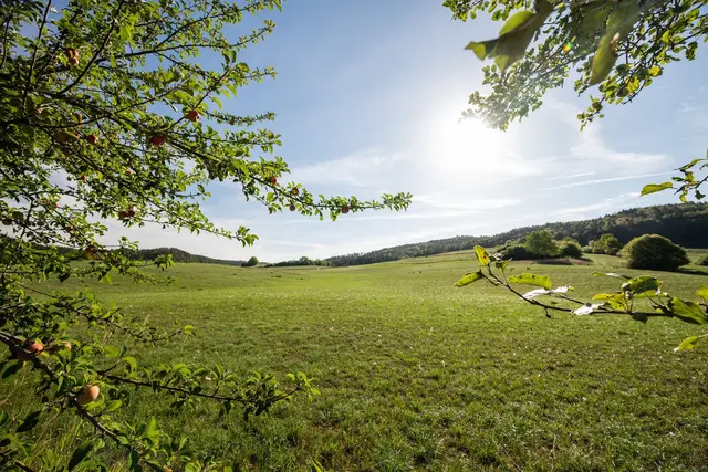 Am Montag könnte es bis zu 33 Grad heiß werden.(Archiv) | Foto: Silas Stein/dpa
