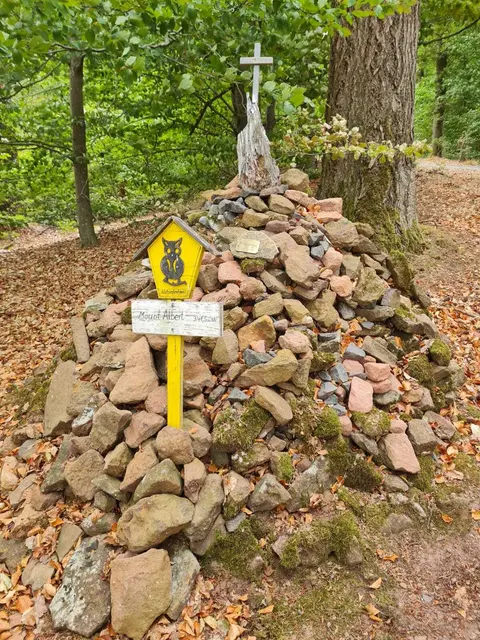 Mount Albert | Foto: Ich