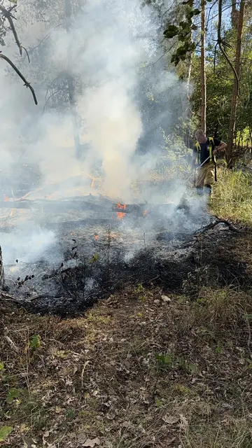 Waldbrand auf dem Truppenübungsplatz in Speyer: Die Feuerwehr löschte rund 600 Quadratmeter brennendes Unterholz. Wegen sandiger Waldwege kamen nur geländegängige Fahrzeuge zum Einsatz. | Foto: Brand- und Katastrophenschutz der Stadt Speyer