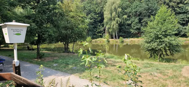 Weiher an der Fischerhütte | Foto: Ich