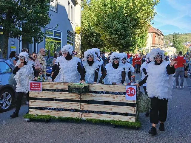 Die Aerobic-Mäd aus Mühlbach als Schafherde | Foto: Anja Stemler