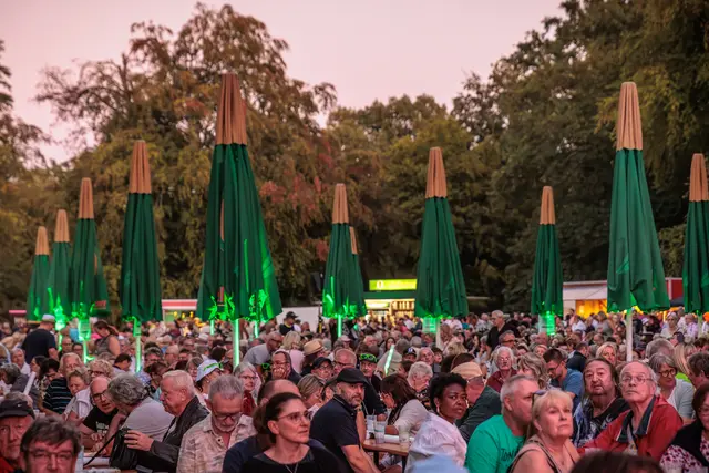 Festivalstimmung: Zwischen Musik, Gesprächen und kulinarischen Angeboten genossen die Besucherinnen und Besucher am Samstag die besondere Atmosphäre im Wörther Bürgerpark. | Foto: Paul Needham