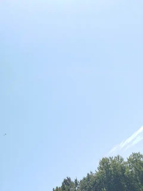 Über den Wolken... | Foto: Mwo