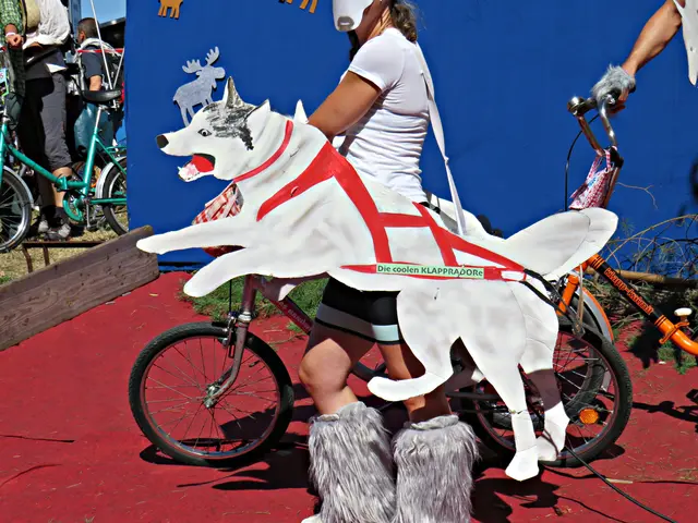 Foto: Brigitte Melder