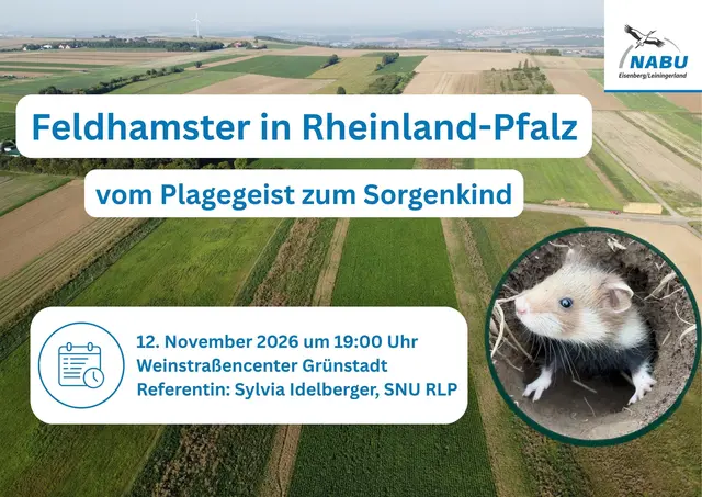 Foto: NABU Eisenberg/Leiningerland
