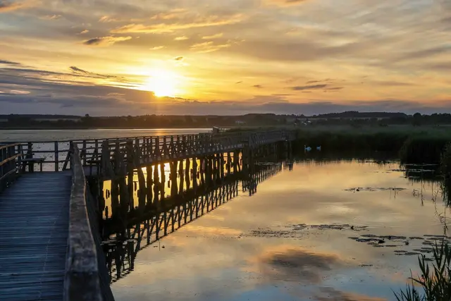 Noch einmal wird es in Baden-Württemberg hochsommerlich warm. (Symbolbild) | Foto: Thomas Warnack/dpa